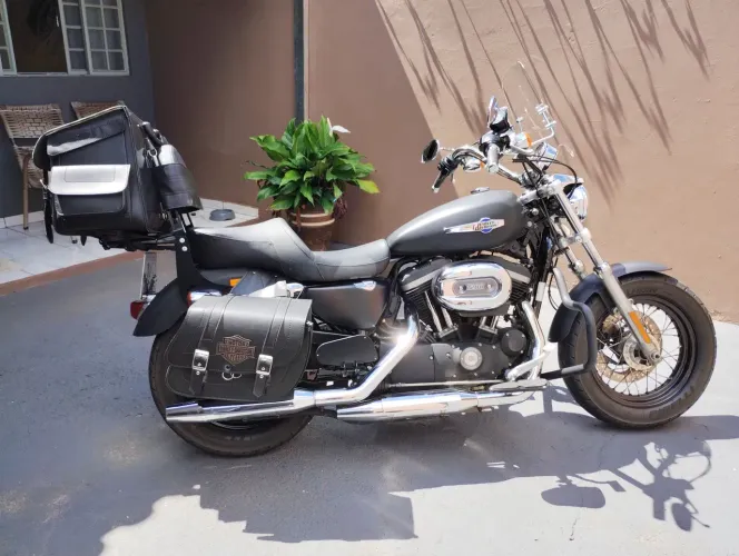 Harley 1200 custom