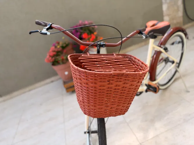 Bicicleta Retro