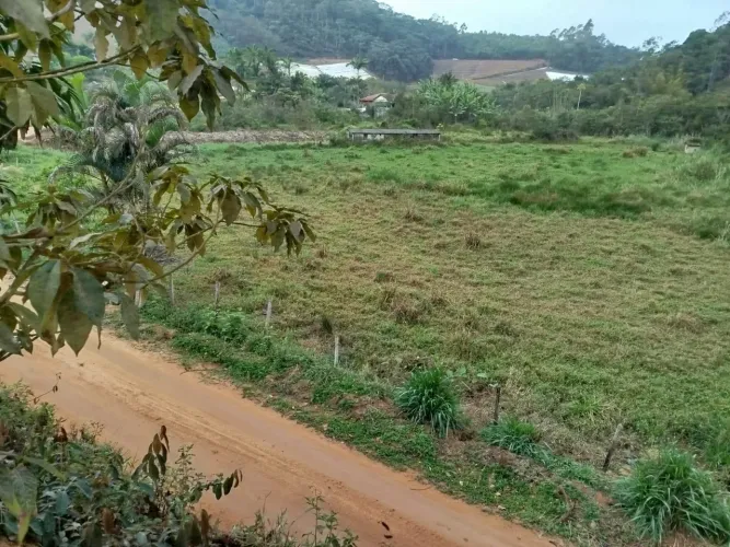 Sítio/Terreno 6.000 m² em Tijuco Preto - Todo Plano