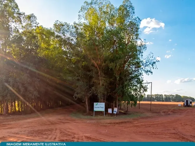 Fazenda Esperança - Imóvel Rural de 9.871 ha em Nova Mutum - MT