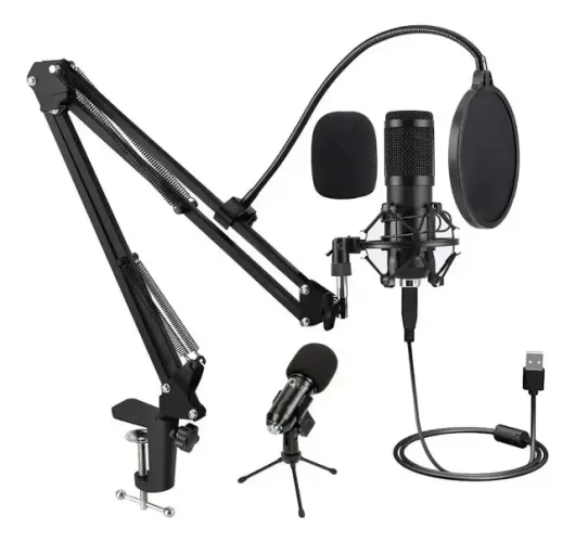 Kit 2 Microfones Giant Podcast Streamer Bm800 Usb Preto