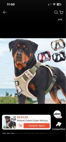 Coleira para cachorro nova ENTREGAMOS 