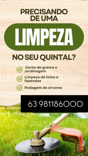Limpeza de quintal 