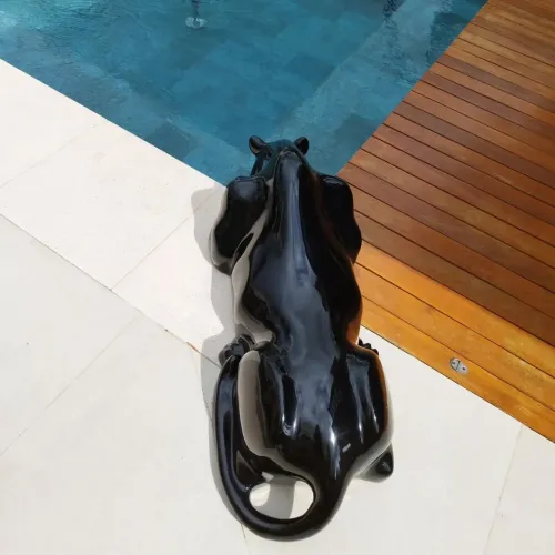 Pantera Bebendo Água 