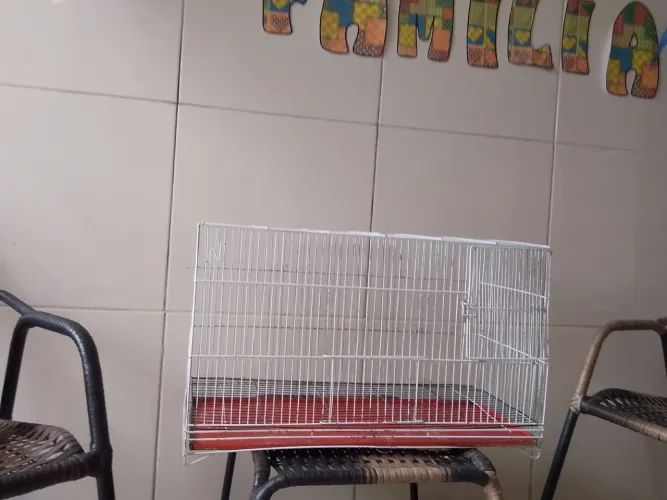 Vendo gaiola