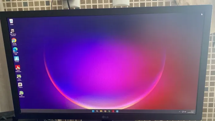 Monitor LG 22 polegadas