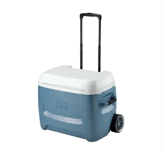 Cooler igloo