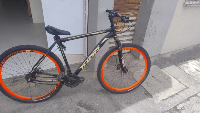 Bike Aro 29