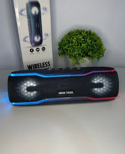 Caixa de som Bluetooth Wise Tiger