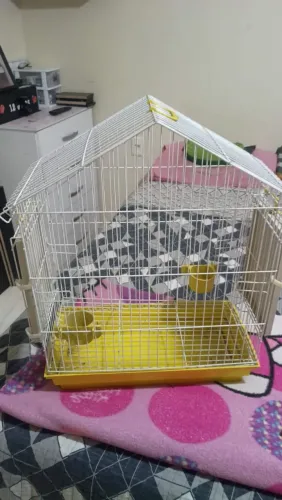 Vendo Gaiola de Calopsita