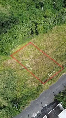 Terreno Plano com 300m2 na Colônia Barra Mansa