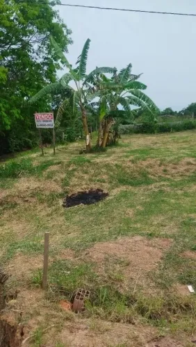 Vendo terreno para sítio em Piedade 