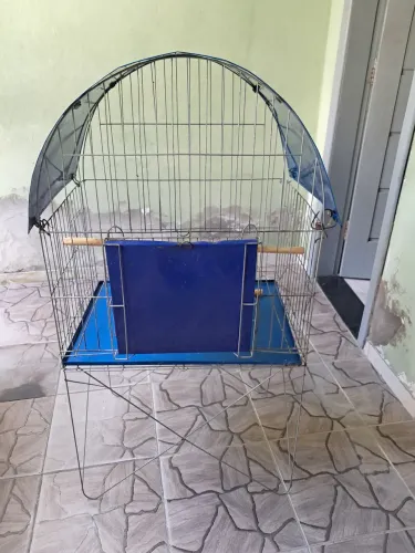 Gaiola para Papagaio