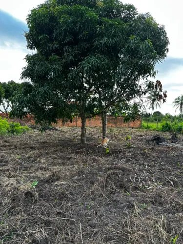 Terreno na colônia sapé ( itaporanga) 