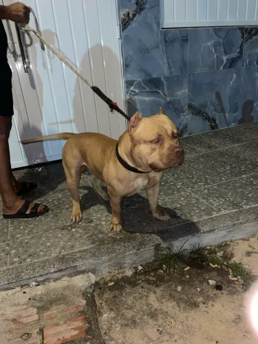 Disponível para Cruzar