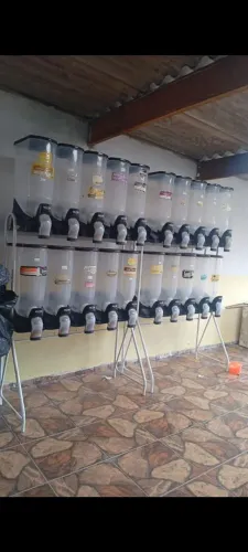 Dispenser para ração