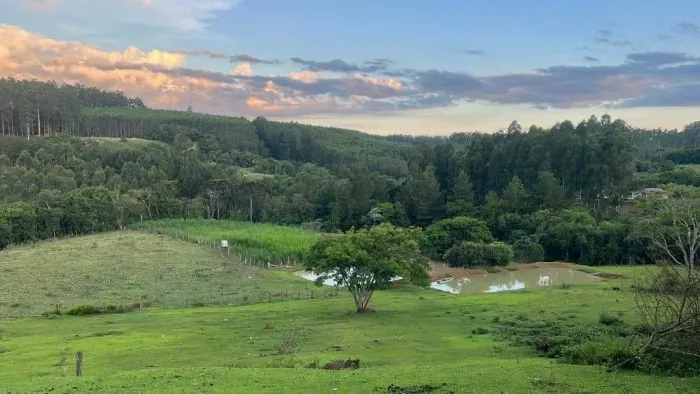 Chácara à venda, Colônia Dona Luíza, Ponta Grossa, PR