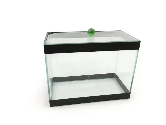 Aquário Pequeno 3 Litros Betta com Tampa - 20x10x15cm