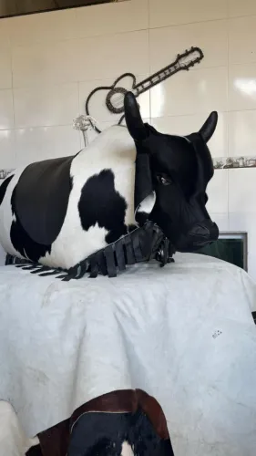 Touro mecânico profissional 
