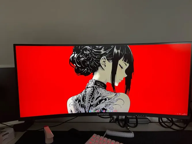 Monitor UltrawideQHD 34' curvo 165hz