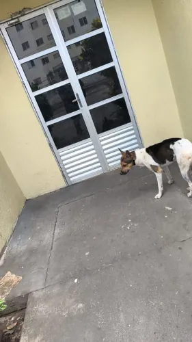Vendo apartamento  no residencial  Vila Maranhão 