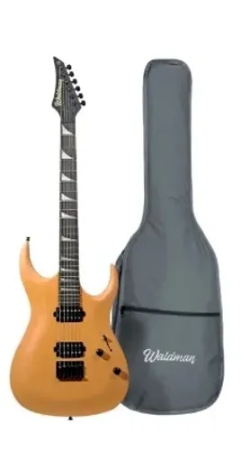 Guitarra Eletrica Com Capa Waldman WGAR441X ORS/B