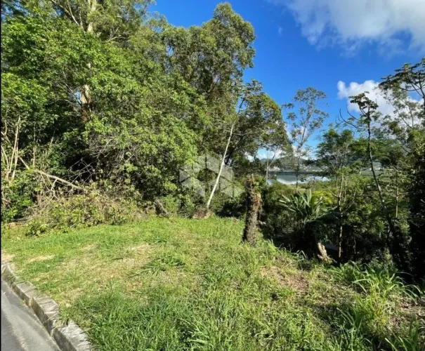 Terreno de 510m² no João Paulo - Potencial para projeto de alto padrão