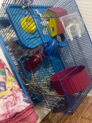 Gaiola de Hamster grande