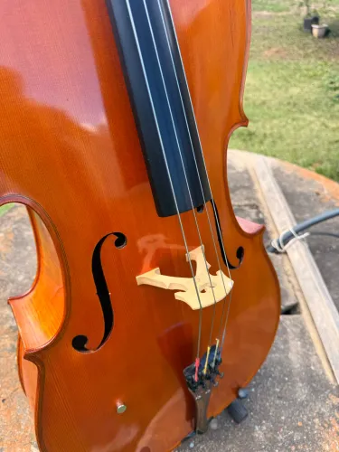 Violoncelo Mavis 6017
