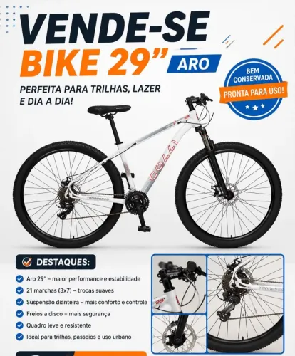 Bicicleta Aro 29