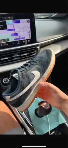 Tenis Nike dunk 