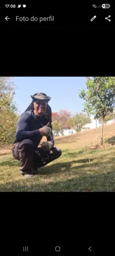 Limpeza de calçadas e terreno com aplicação de herbicida não seletivo