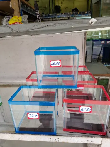 Aquários
