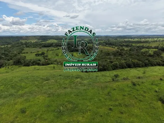 Chácara Região Barrolândia 4.5 Alqueires Beira Ribeirão