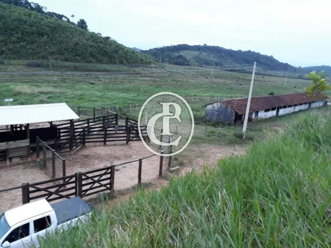 Fazenda em Iguape com Tripla Aptidão leite Corte e Palmito l 436 ha