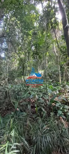 TERRENO EMBU DAS ARTES - BAIRRO ESTANCIA PANORAMA - ÓTIMA OPORTUNIDADE!!!!!