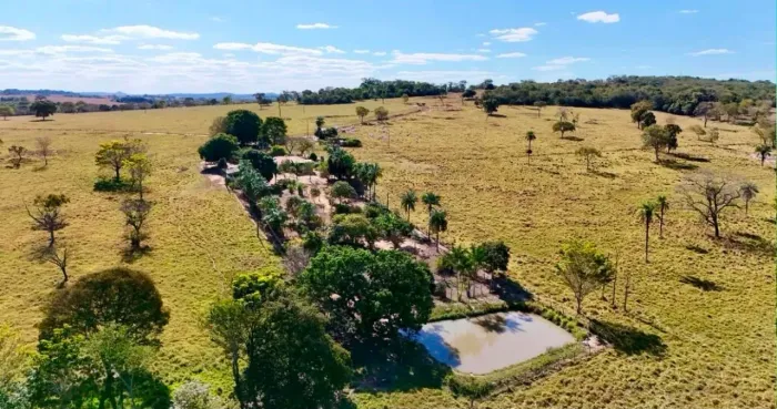 Fazenda a venda Cezarina-go