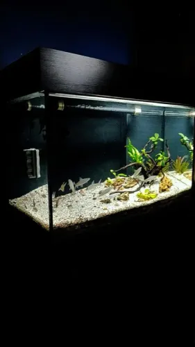 Vendo Aquário Completo 