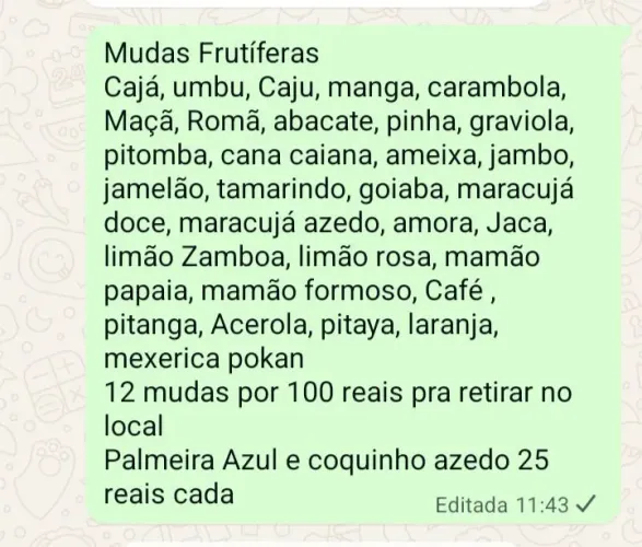 12 Mudas frutíferas por 100 reais pra retirar no local 