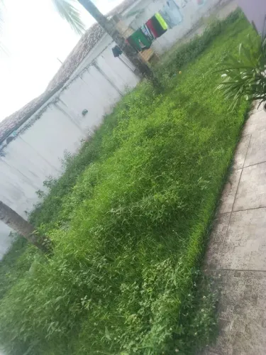 Limpeza Na Roçadeira 