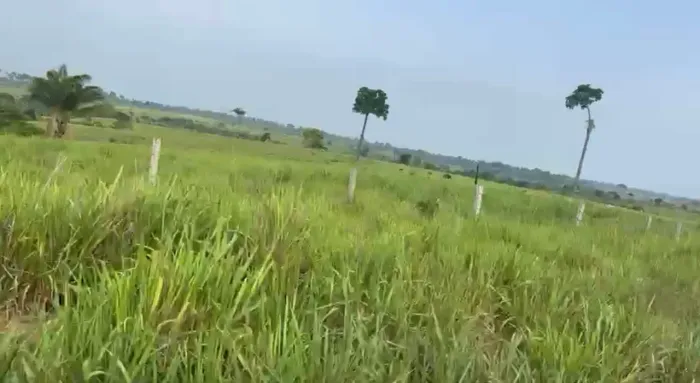 R$120 Milhões Fazenda de 2 mil alqueires próximo à Marabá-PA