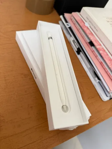 APPLE PINCEL 1 geração ótimo estado
