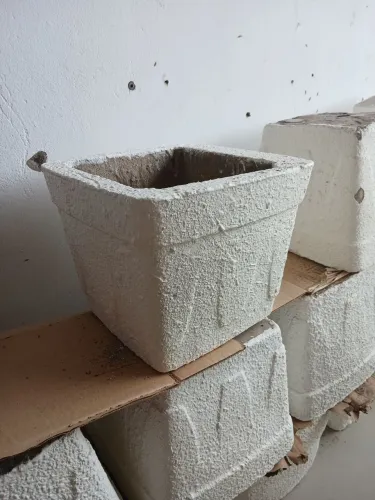 Vaso de planta apartar de 10,00 pronta entrega + terra adubada 5,00  
