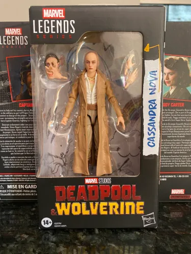 Cassandra Deadpool Marvel Legends