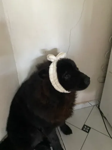 Doação