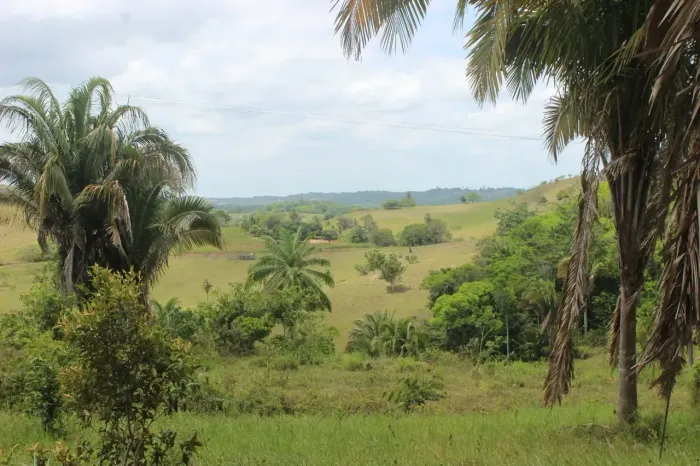 sítio à venda em Mata de São João possui 20,1 hectares com 2 quartos na sede