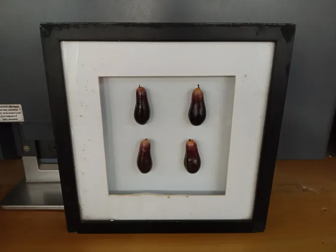 Quadro Decorativo com Moldura de Madeira e Vidro 