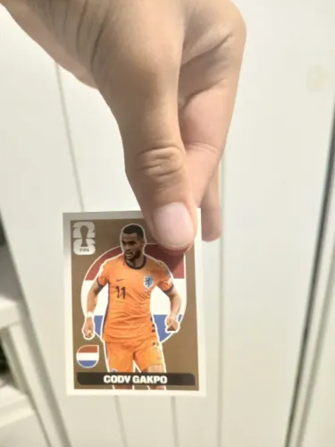 Cody gakpo bronze 