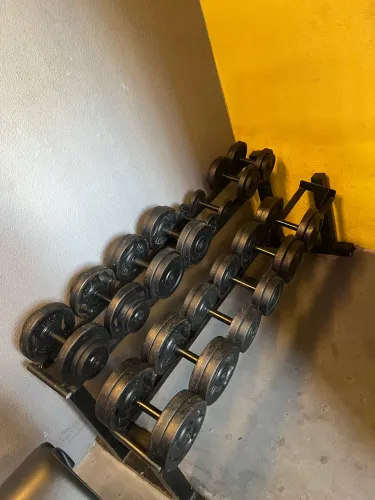Kicht de halteres