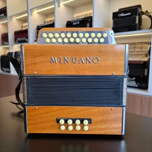 Acordeon Minuano 8 baixos